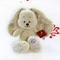 Stuffed Organic Cotton Bear Toy